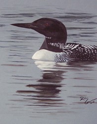 /images/loon_copy_196x250.jpg